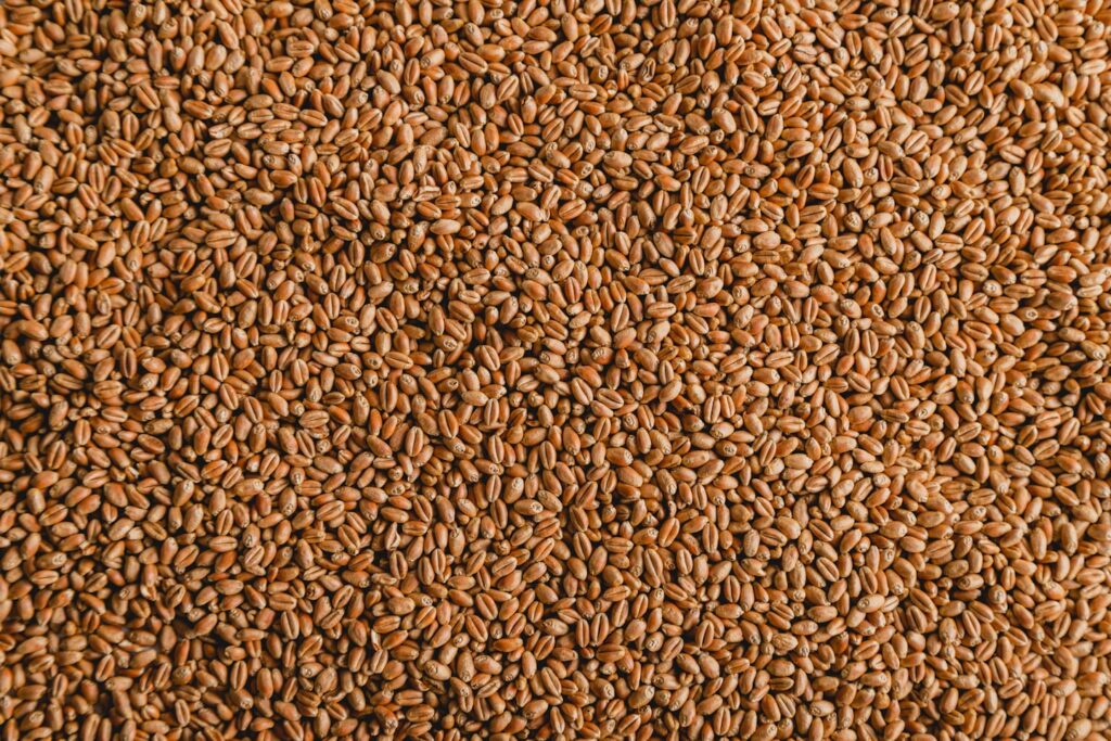 a close up of grains
